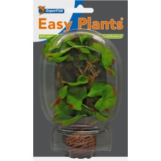 Easy Plants Silk NR1